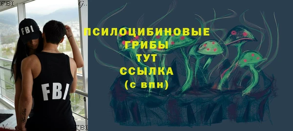 твердый Богданович