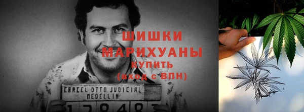 COCAINE Богородицк
